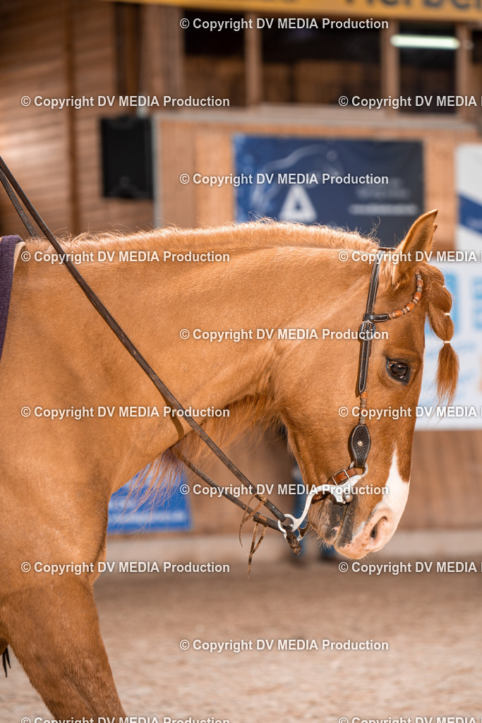 Heidelberg Tag 2-313 | dv-media-shop - Realisiert mit Pictrs.com