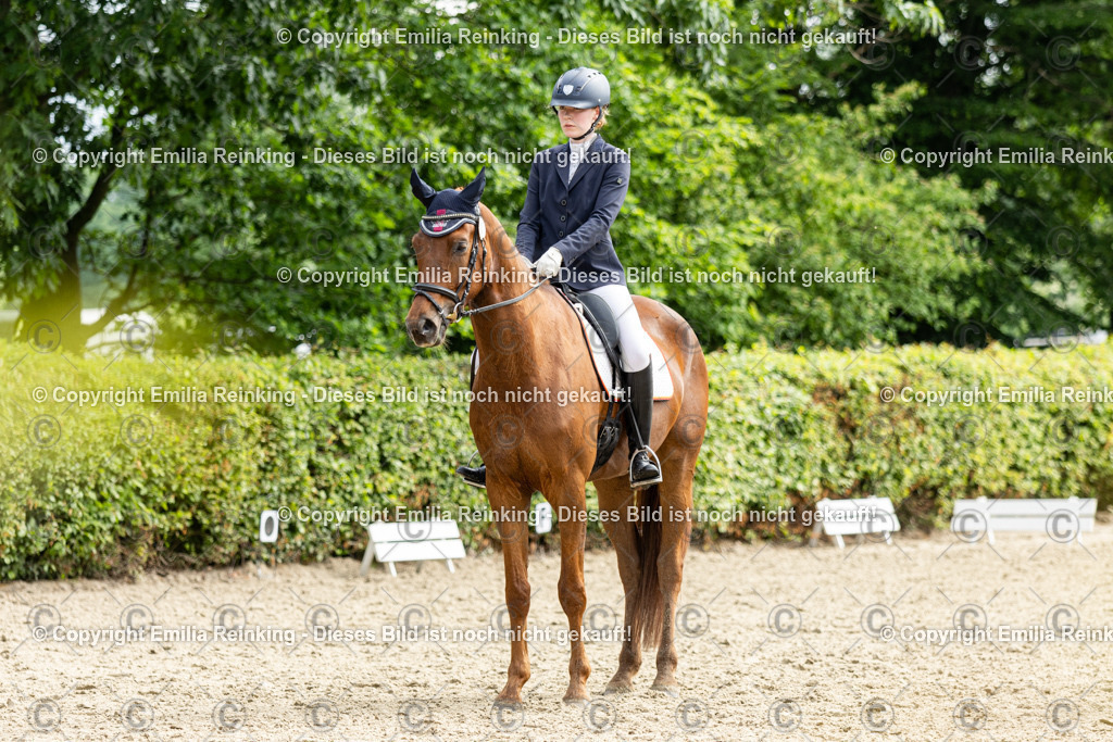 CL5A5633 | Emilia Reinking Fotografie - Realisiert mit Pictrs.com