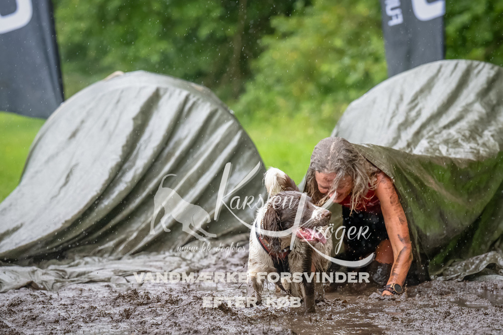 0938_ZZ91551-Bearbeitet | kk-dogfotos
