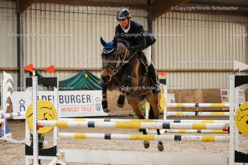 Springpferde A_-2 | Kristin Schumacher Photography