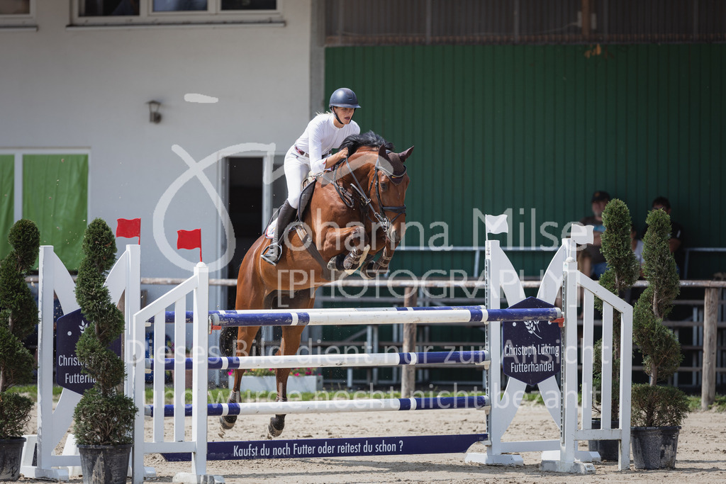 230624_PfSpTa_YoungsterM2-834 | Deine schönsten Turniermomente als professionelle Fotos! Entdecke hochwertige Pferdesport-Fotografie im Online-Shop. Jetzt Fotos finden & bestellen!