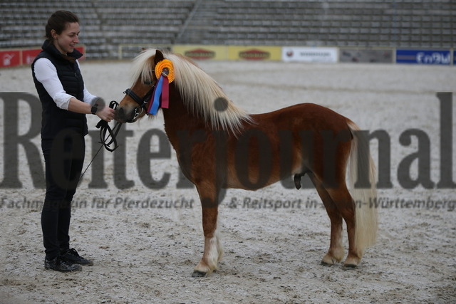Winterkörung_Marbach_2023_KN_21 (10) | Alle Fotos der Reiterjournal Fotografin Doris Matthaes im Reiterjournal Online-Fotoshop. - Realisiert mit Pictrs.com