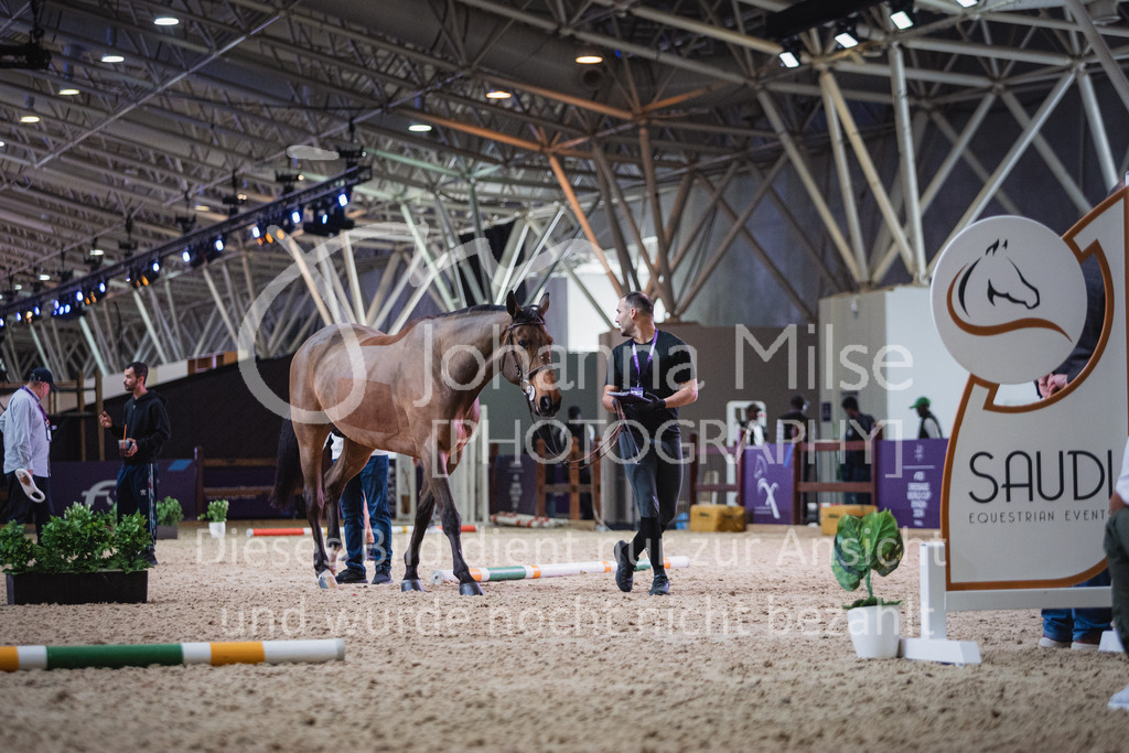 230215_Riyadh_Vet-Check-102 | Deine schönsten Turniermomente als professionelle Fotos! Entdecke hochwertige Pferdesport-Fotografie im Online-Shop. Jetzt Fotos finden & bestellen!