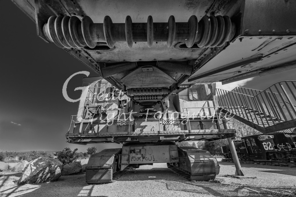 DSC_0217-2 | Great-Light Fotografie - Realisiert mit Pictrs.com