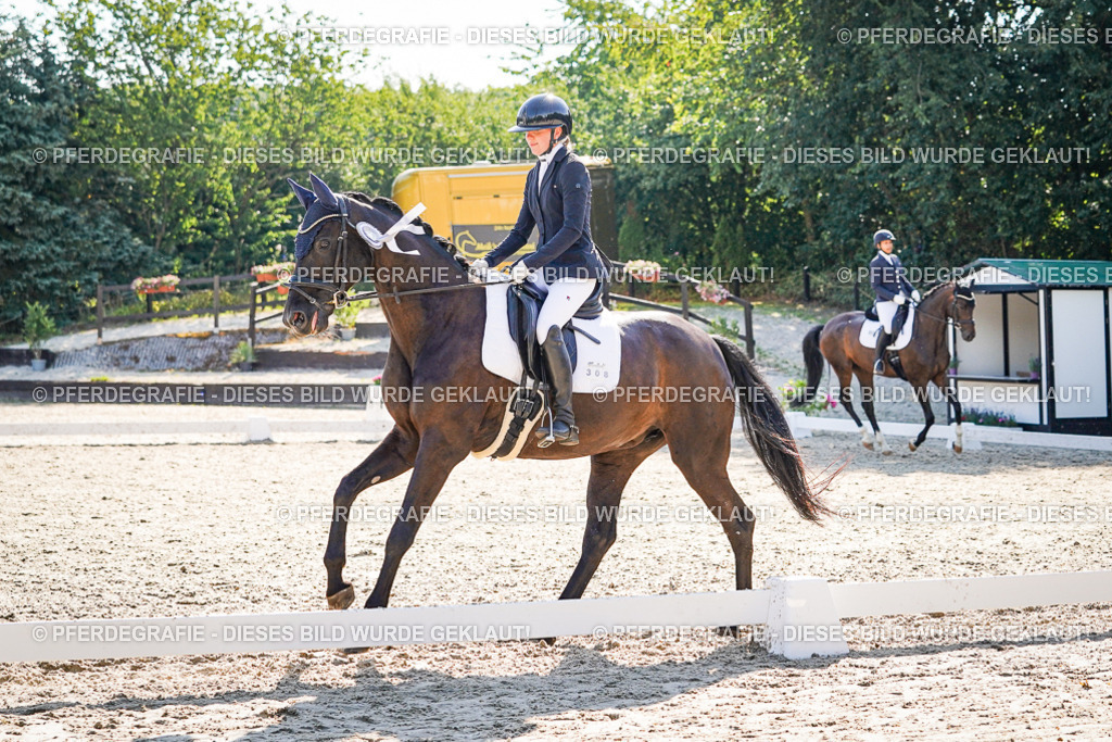 DSC00207 | Pferdegrafie