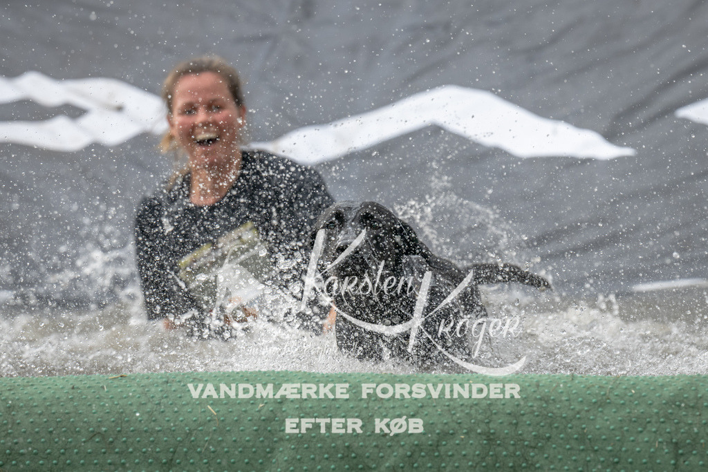 1151_ZZ93605 | kk-dogfotos