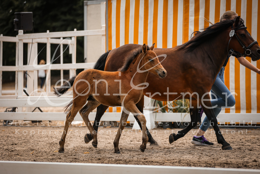 02.DoSR00078 | Leoni Ertmer Photography - Realisiert mit Pictrs.com