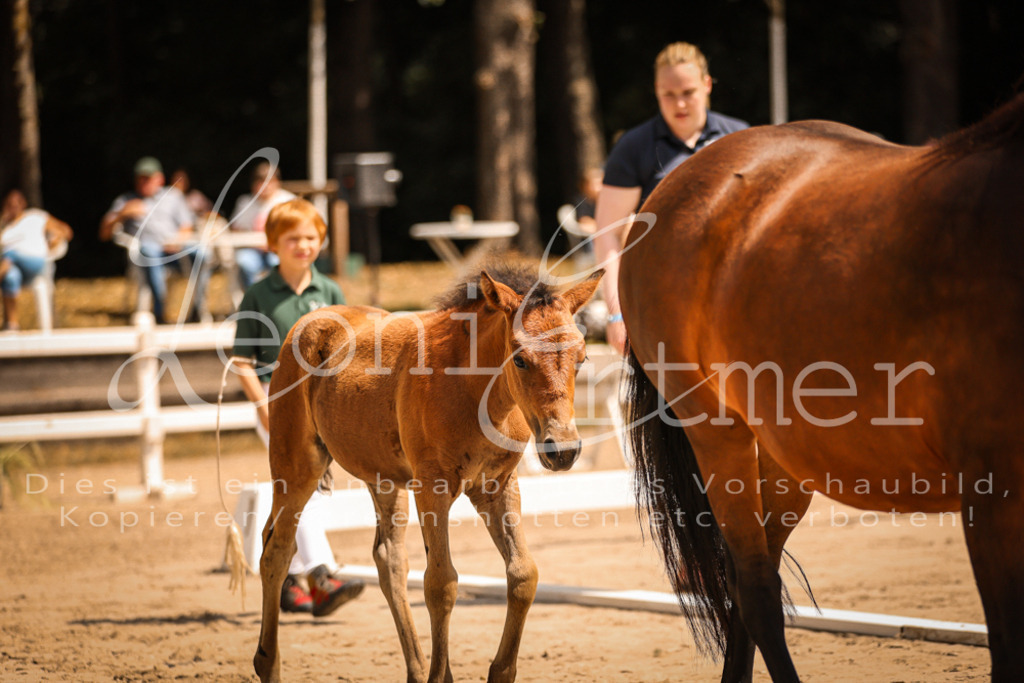 02.DoSR00055 | Leoni Ertmer Photography - Realisiert mit Pictrs.com