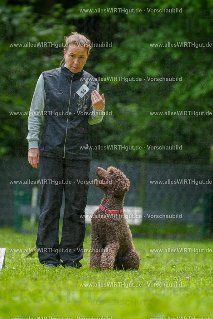 @allesWIRTHgut_Tierfotografie - www.allesWIRTHgut.de - 7R501102 | Professionelle Tierfotografie in Mönchengladbach von Daniel Wirth (allesWIRTHgut). Liebevolle & natürliche Bilder von Hunden & Katzen für unvergessliche Erinnerungen.
