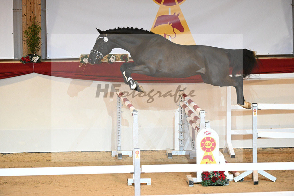 Kat-Nr. 15 Cornet de Semilly_Agrar Handelsgesellschaft Salzfurtkapelle_1230844 | hf-fotografie - Realizzato con Pictrs.com