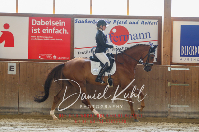 DKP43180 | Turniersportfotografie; Pferdefotografie; Dressurfotografie