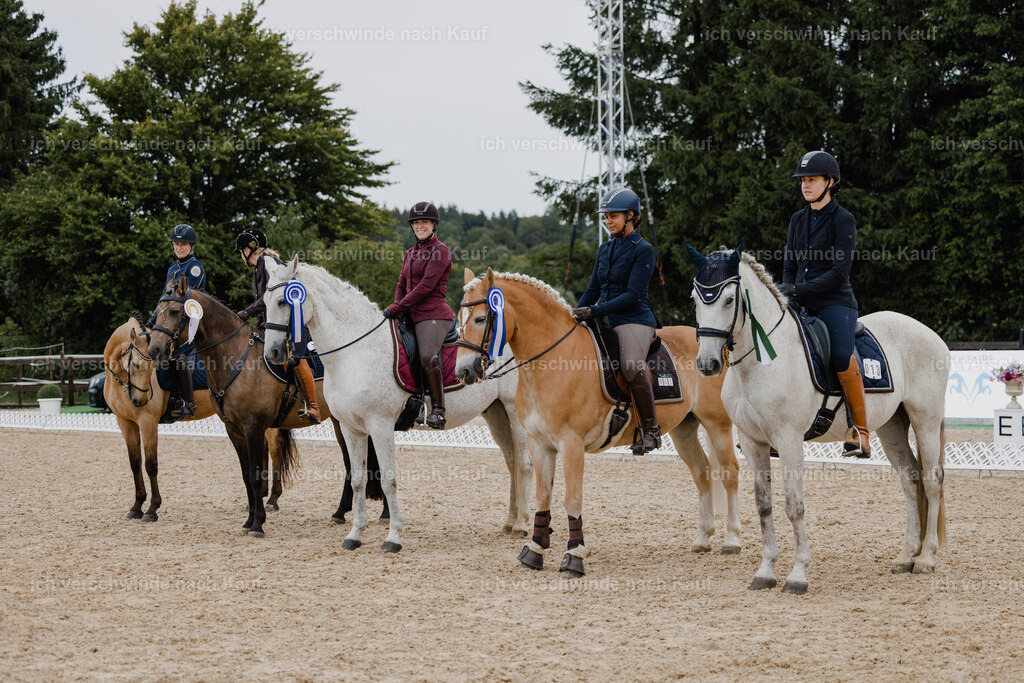 Diana11_FHC2025-25322 | working equitationturnier fotograf videograf stoibphotography marixx film working equitation deutschland reitsport turnierfotografie eventfotografie equestrian events