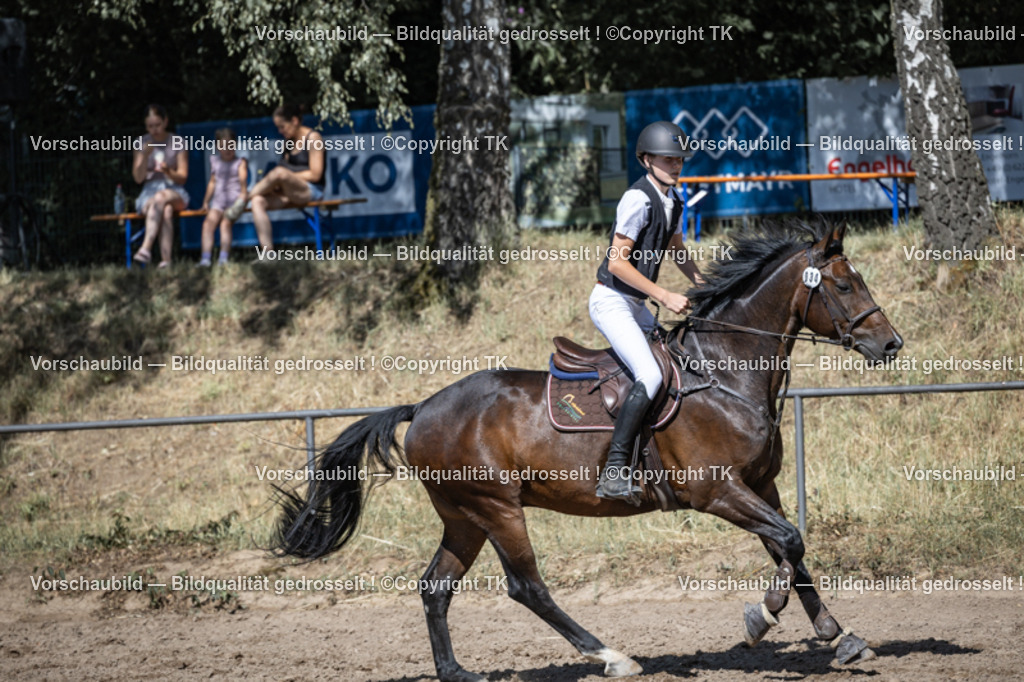 _D5A7703 | Emotionale Pferde- & People-Fotografie rund um Heidelberg, Leimen & Umgebung. Natürliche Fotos von Pferd, Mensch & Familie. Jetzt Termin sichern!