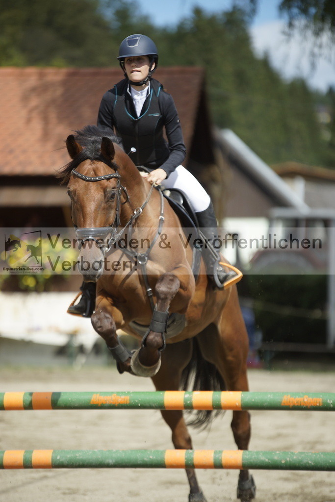 _DSC4340 | equestrian-live-com