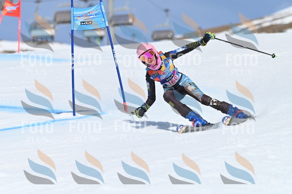 BGV_0419 | holidayphoto