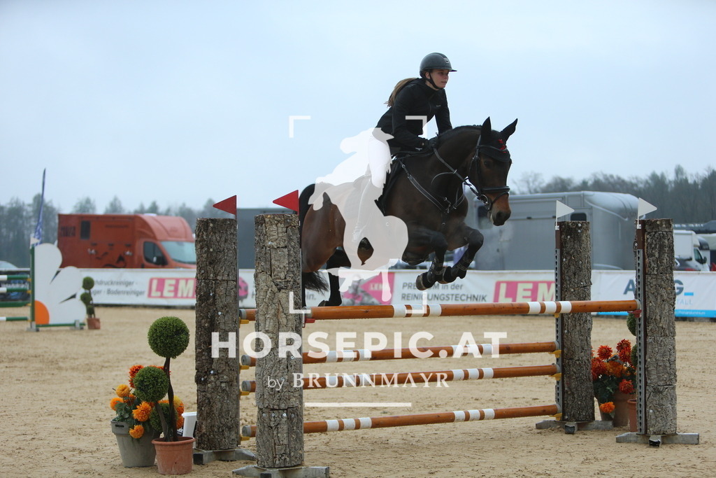 DL2Q7718 | Willkommen bei Brunnmayr - Design & Fotografie – Ihrem Spezialisten für Reitturniere und Pferdeveranstaltungen in Oberösterreich, Salzburg und Bayern! Seit über 17 Jahren sind wir leidenschaftlich dabei.