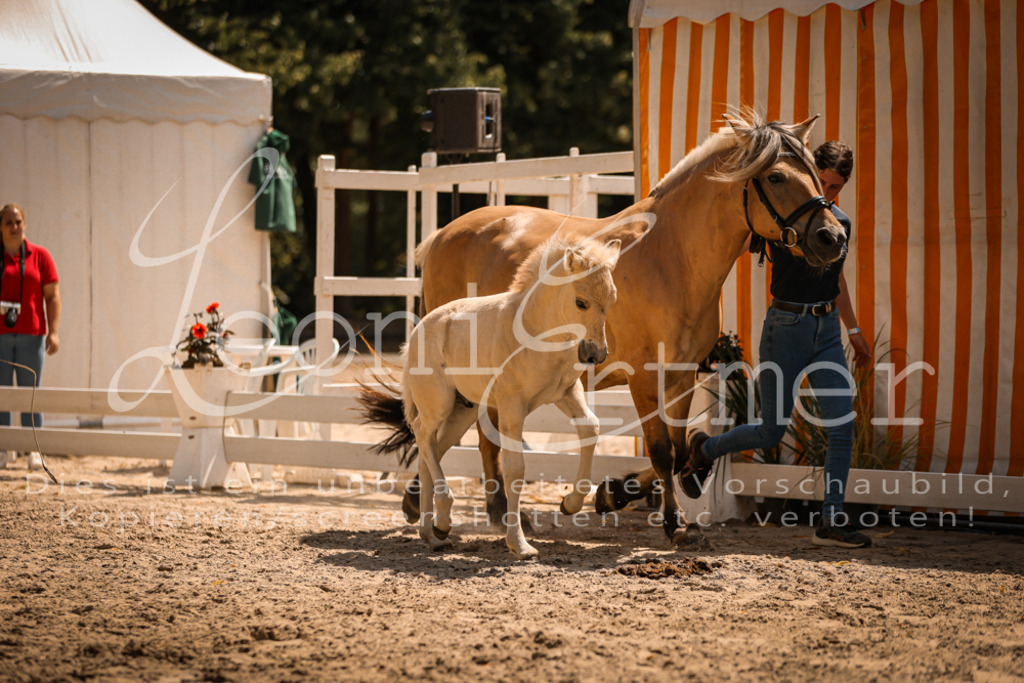 05.DoF00092 | Leoni Ertmer Photography - Realisiert mit Pictrs.com