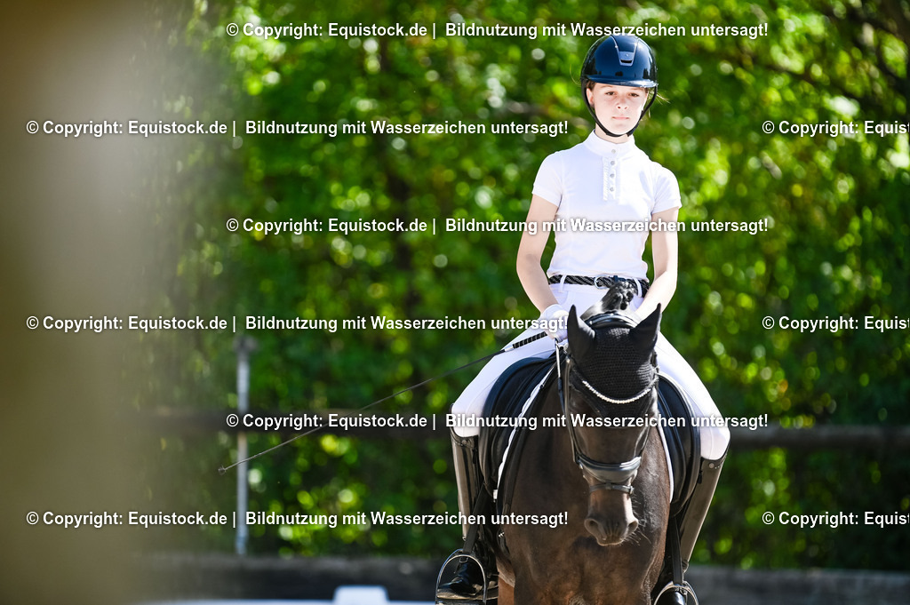 20230908_06_Dressur-L-Trense_0612 | equistock