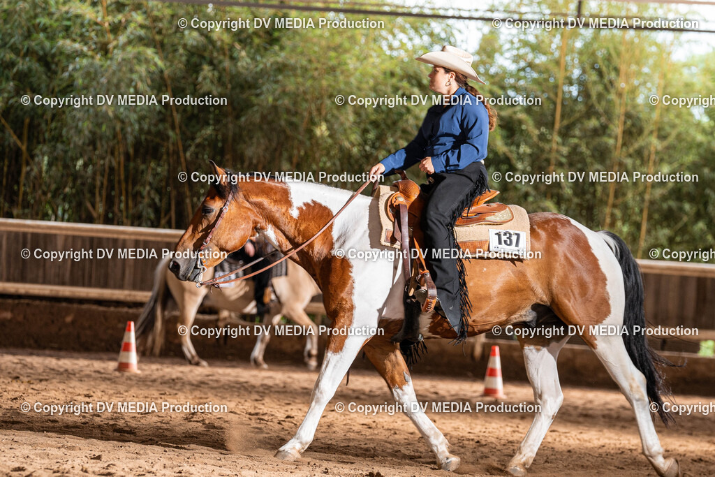 Erbach Tag 1-1115 | dv-media-shop - Realisiert mit Pictrs.com