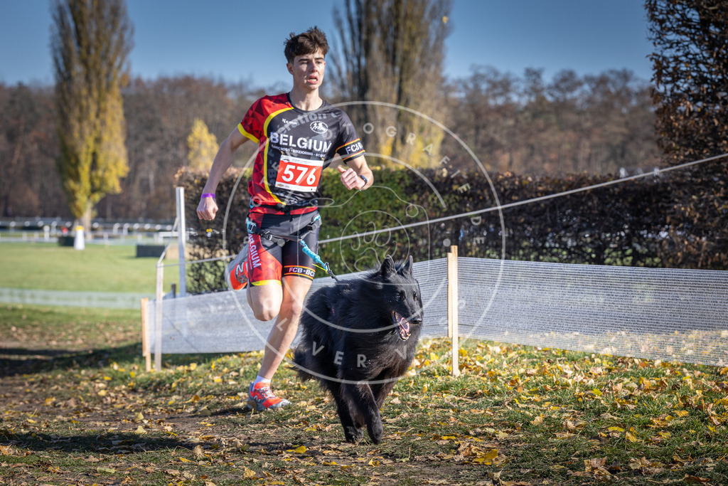 CaniXpix_DV3A8973 | Hundefotografie, Tierfotograf, Pfotenfotografie, Fotoshooting Hund, Hunde Portrait, Hundesport, Hundeportraits, Heideshooting, Hunde, Sportfotograf, Hundefotograf, Turnierhundsport, THS,  - Realisiert mit Pictrs.com