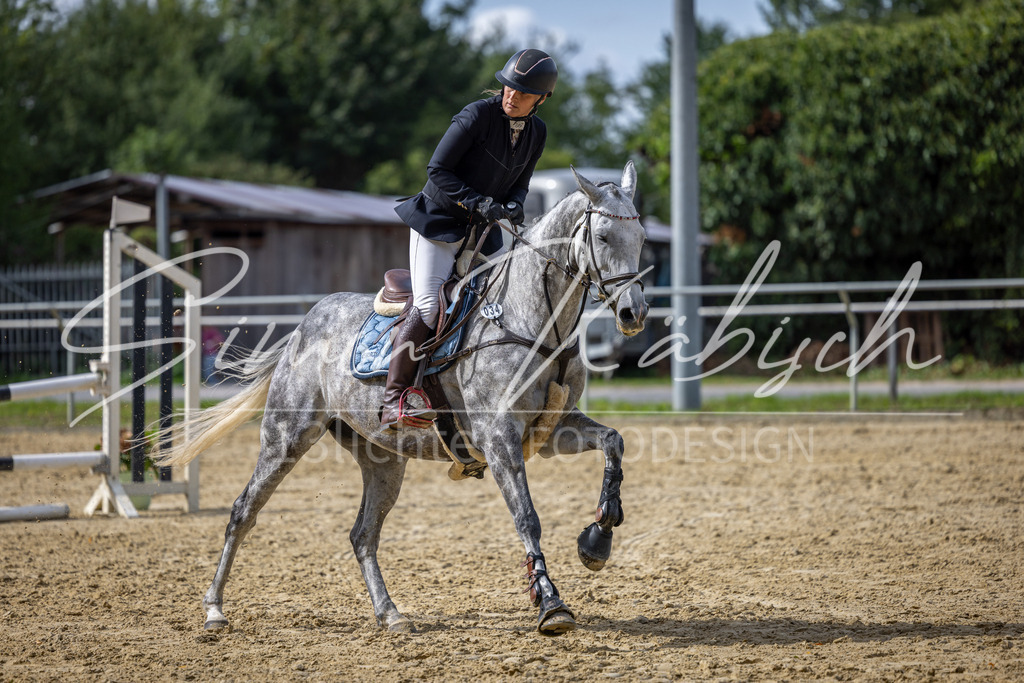 20260905-_3LI7600 | Tierfotografie Pferde, Hunde, Katzen, Haustiere.
Turnierfotografie Reitturniere, Reiten, Springreiten, Dressur in Hanau, dem Main-Kinzig-Kreis und dem Rhein-Main- Gebiet um Frankfurt