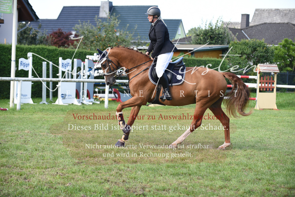 DSC_9032 | Pferde- und Turnierfotografie in Westsachsen. Pferdeportraits, Auftragszeichnungen und intuitive Kunst.