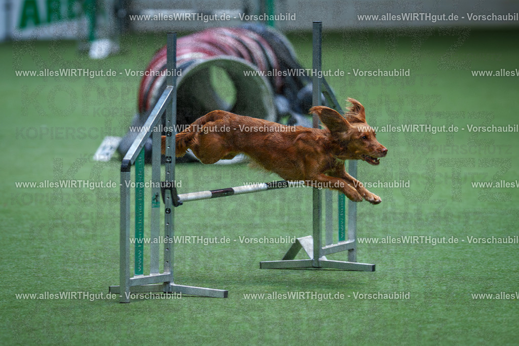 @allesWIRTHgut_Tierfotografie - www.allesWIRTHgut.de - 2604251117-7R500126 | Professionelle Tierfotografie in Mönchengladbach von Daniel Wirth (allesWIRTHgut). Liebevolle & natürliche Bilder von Hunden & Katzen für unvergessliche Erinnerungen.