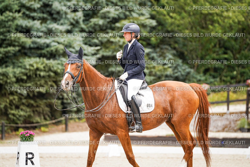 DSC04815 | Pferdegrafie