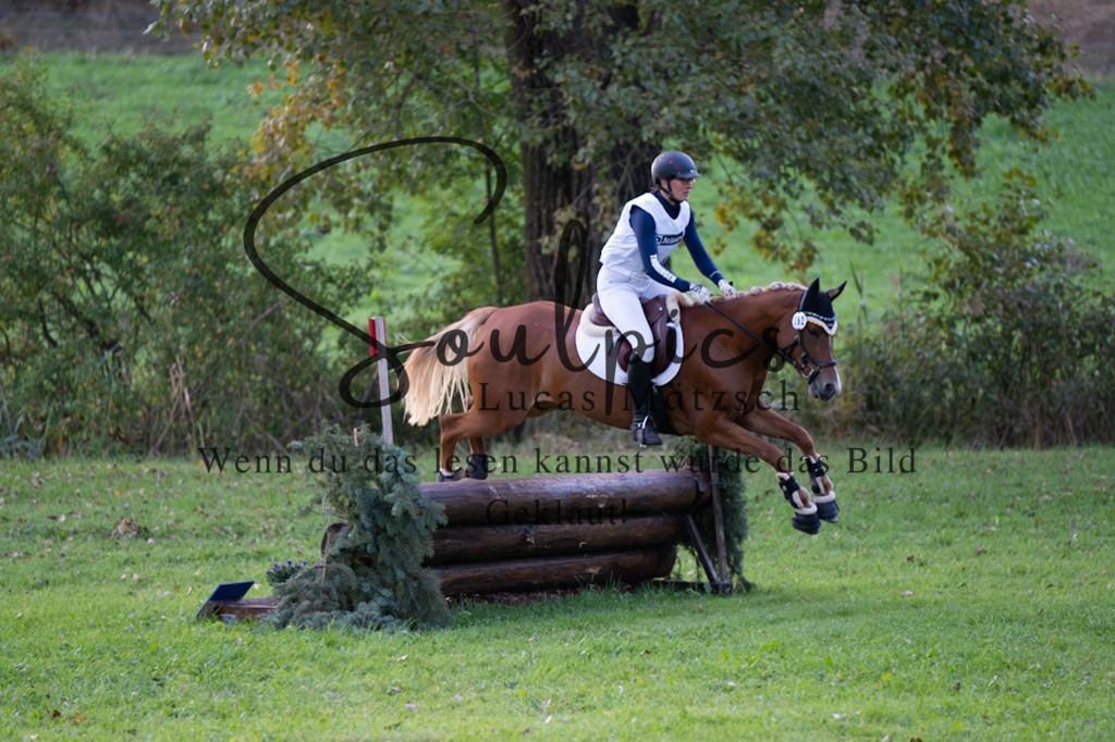 A7V02992 | Pferdefotograf