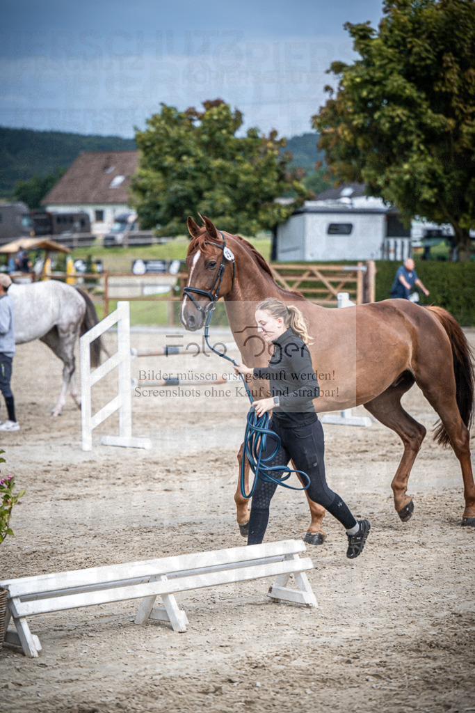 DOS_0432 | Entdecke hochwertige Reitturnierfotos von Foto Oger. Professionell, emotional und authentisch – jetzt Lieblingsmomente im Shop bestellen.Deutschlandweite Turnierfotografie. - Realisiert mit Pictrs.com