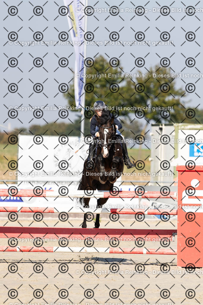 CL5A6561 | Emilia Reinking Fotografie - Realisiert mit Pictrs.com