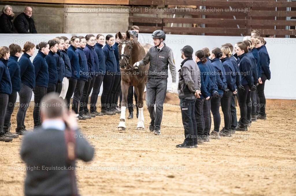 20260307_Hengstvorstellung-Marbach_0523 | equistock