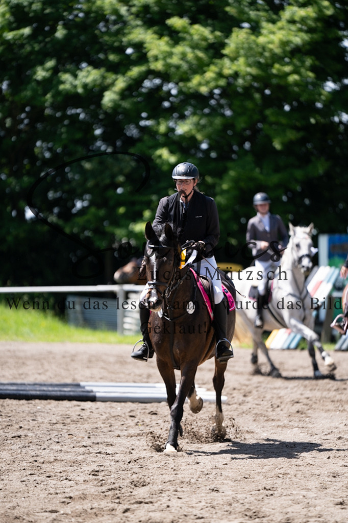 A7V04364 | Pferdefotograf