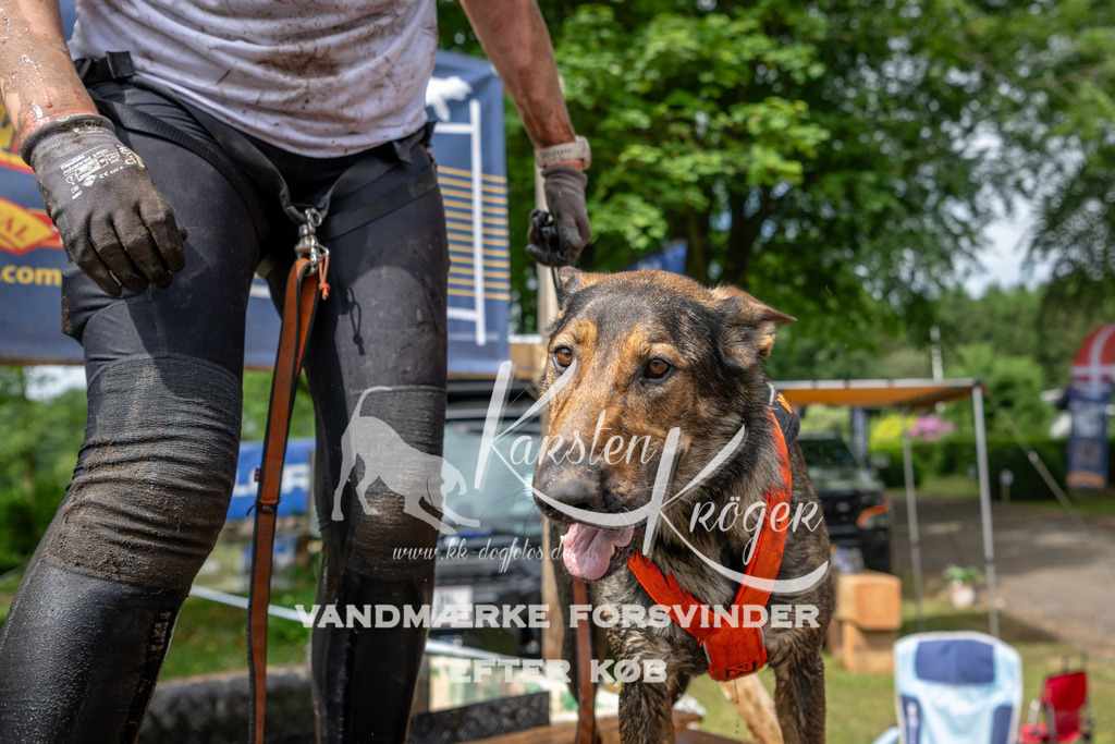 1037_ZZ91586 | kk-dogfotos