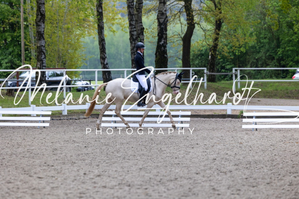 7I8A8764 | melanie-engelhardt-photography - Realisiert mit Pictrs.com