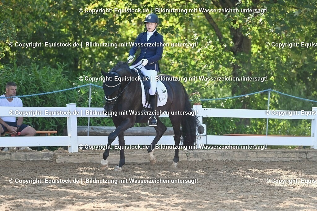 20230715_06_Dressurpferdeprfg. Kl.A_0257 | equistock