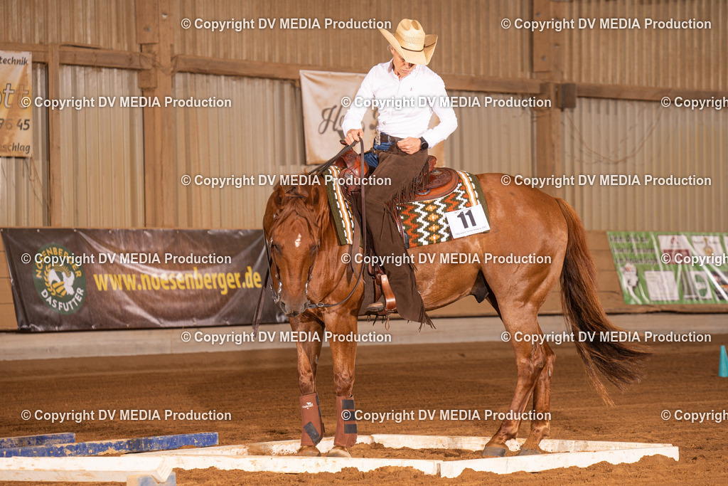 NID01179 | dv-media-shop - Realisiert mit Pictrs.com