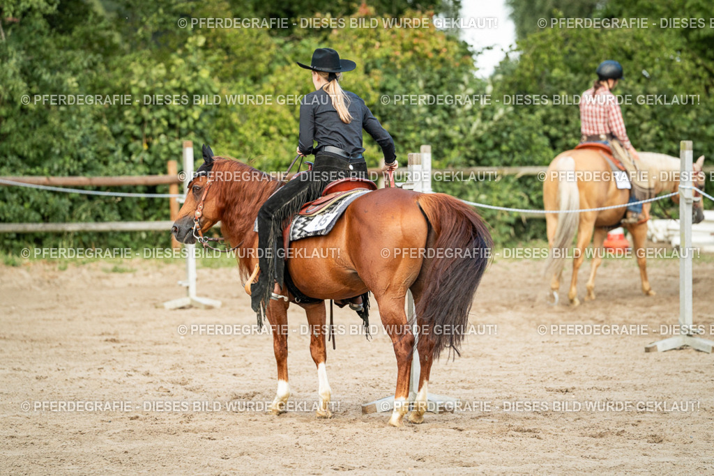 DSC05961 | Pferdegrafie