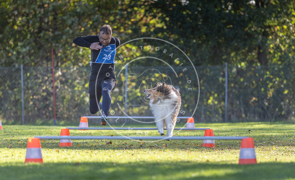 Pfotenfotografie.de_DV3A3025 | Hundefotografie, Tierfotograf, Pfotenfotografie, Fotoshooting Hund, Hunde Portrait, Hundesport, Hundeportraits, Heideshooting, Hunde, Sportfotograf, Hundefotograf, Turnierhundsport, THS, canicross - Realisiert mit Pictrs.com