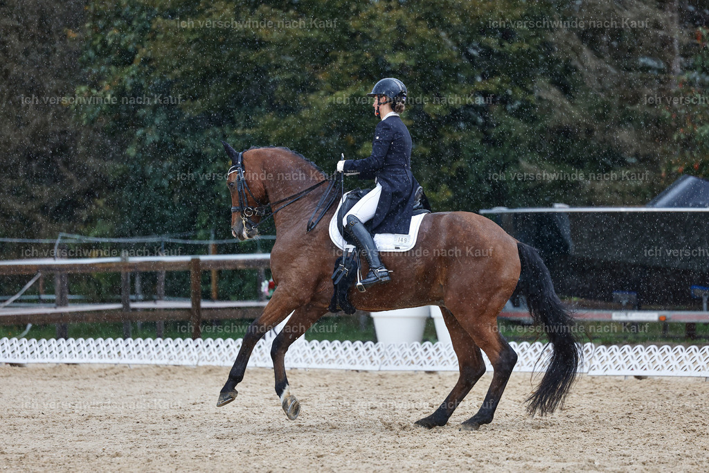 8_2-149-DRESSUR S_  -StoibPH-4476 | working equitationturnier fotograf videograf stoibphotography marixx film working equitation deutschland reitsport turnierfotografie eventfotografie equestrian events