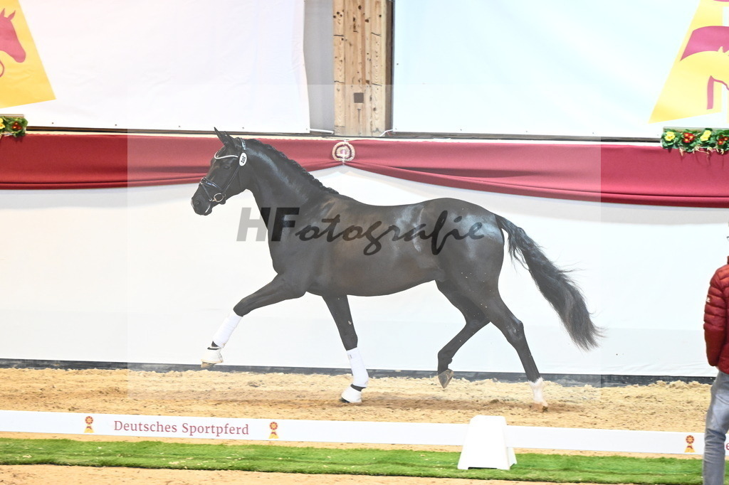Kat.-Nr. 39 v. Dimaggio Black_Berger und Kopp_2240467 | hf-fotografie - Realisiert mit Pictrs.com