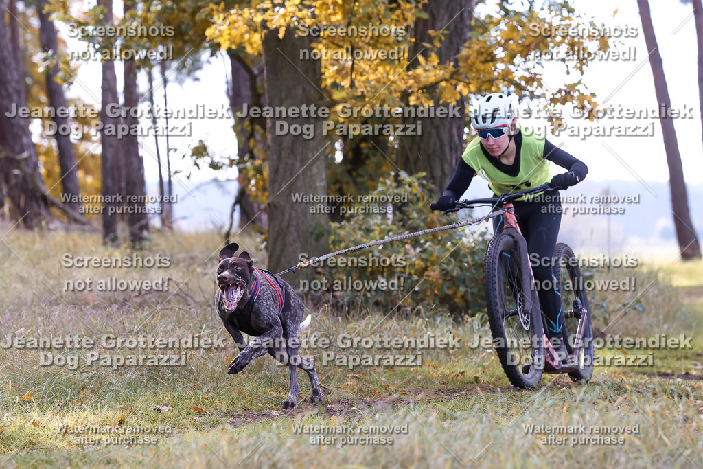 Dog Paparazzi - Elsholz 25 -179 | Dog Paparazzi Jeanette Grottendiek Fotografie & Videografie - Realisiert mit Pictrs.com