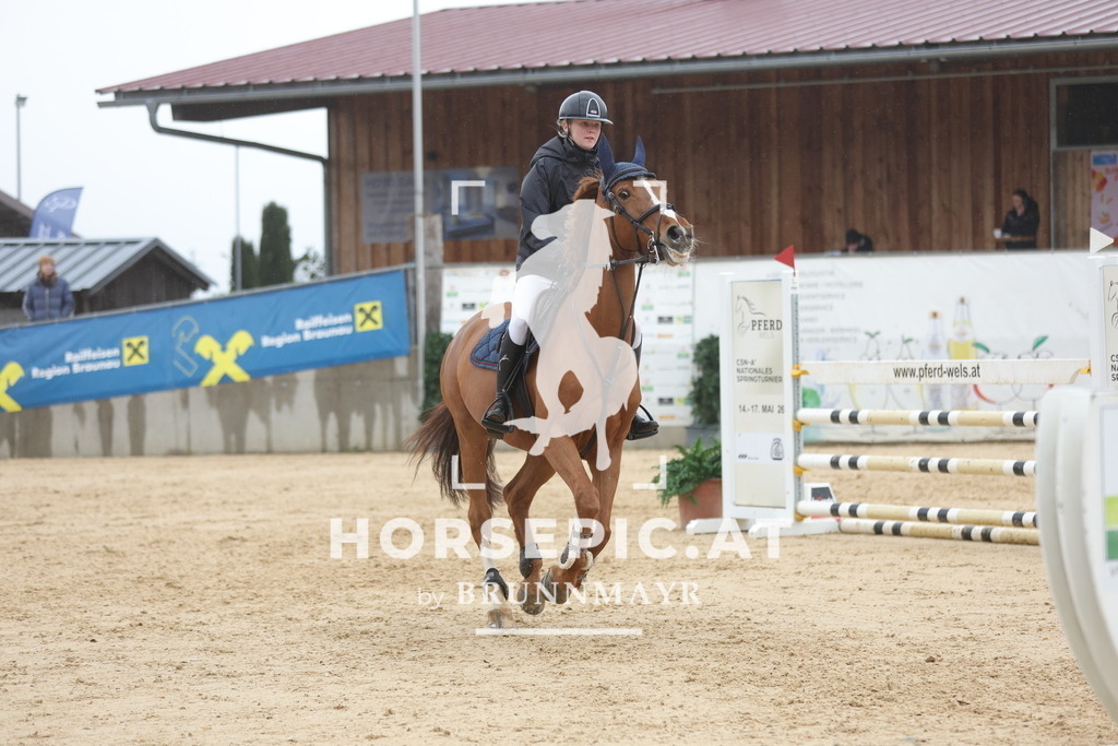 0P6A1288 | Willkommen bei Brunnmayr - Design & Fotografie – Ihrem Spezialisten für Reitturniere und Pferdeveranstaltungen in Oberösterreich, Salzburg und Bayern! Seit über 17 Jahren sind wir leidenschaftlich dabei.