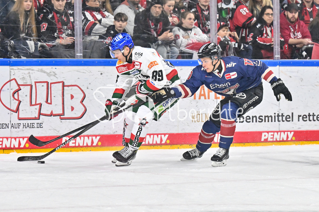 Kölner Haie - Augsburger Panther | im duell Mark ZENGERLE (Augsburger Panther #89) und Jan Luca SENNHENN (Koelner Haie #17) / Zweikampf / DEL: Koelner Haie - Augsburger Panther, Lanxess Arena am 05.01.2025