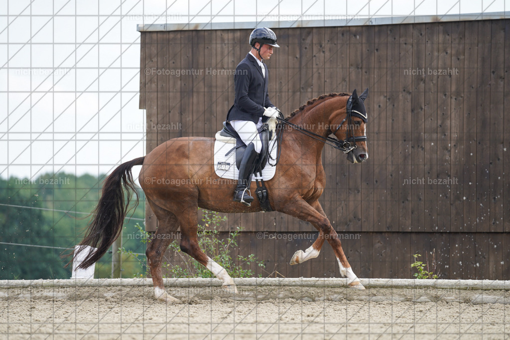 20230826-FAH05933 | Forstinning, 2023, Dressurturnier, Turniersportbilder, Turnierfotografen Bayern, Fotoagentur Herrmann, Reitsportfotografie, Turnierbilder