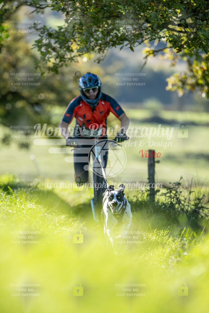MompixPhotography_20TSB_E3_DS1-62 | PayLife