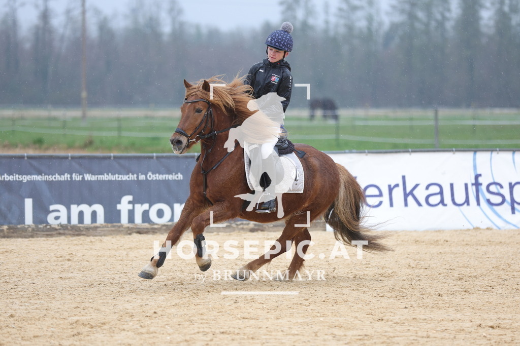 0P6A7261 | Willkommen bei Brunnmayr - Design & Fotografie – Ihrem Spezialisten für Reitturniere und Pferdeveranstaltungen in Oberösterreich, Salzburg und Bayern! Seit über 17 Jahren sind wir leidenschaftlich dabei.