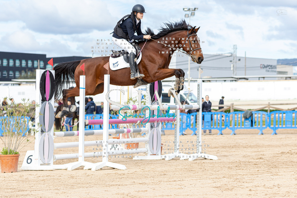 IMG_2747 | s-jay-photography - Realisiert mit Pictrs.com