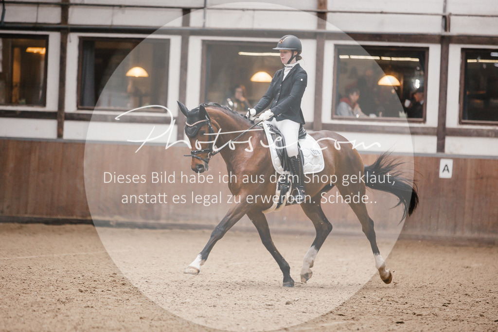 3I6A6597 | Stimmungsvolle Portraits und Reitsportfotografie im Ruhrgebiet und im Münsterland.

Pferdefotografie, Hundefotografie, Tierfotografie, Reportagen, Portraits von Tier und Mensch, Turnierfotografie in Bochum, Recklinghausen, Marl, Haltern am See, Dülmen.. - Realisiert mit Pictrs.com
