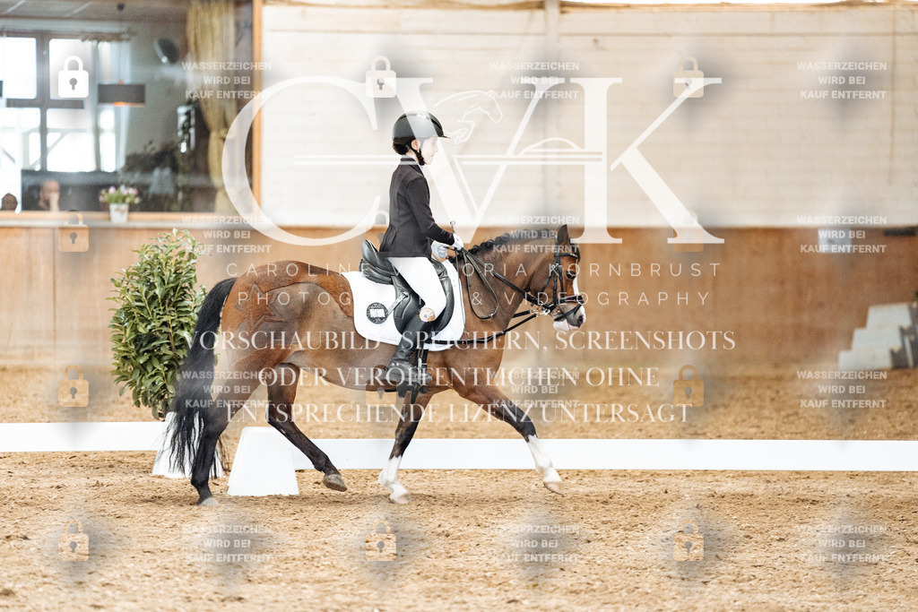 CK900450 | Turnierfotografie Pferdefotografie Trier Rheinland-Pfalz Pferdesport Reitsport Tierfotografie Sportfotografie Pferdevideo Pferdevideografie Equestrianvideography equestrianphotography  - Realized with Pictrs.com